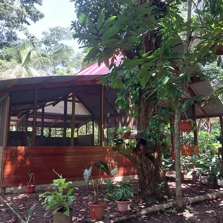 Jardin De Las Musas Puerto Maldonado Exterior photo
