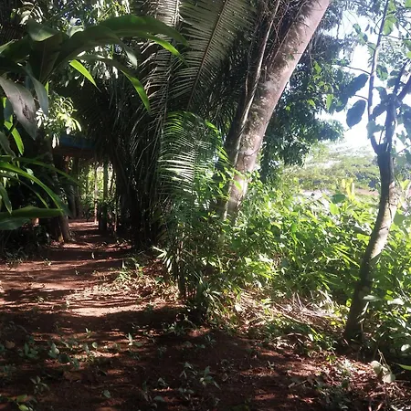 Jardin De Las Musas Puerto Maldonado Room photo