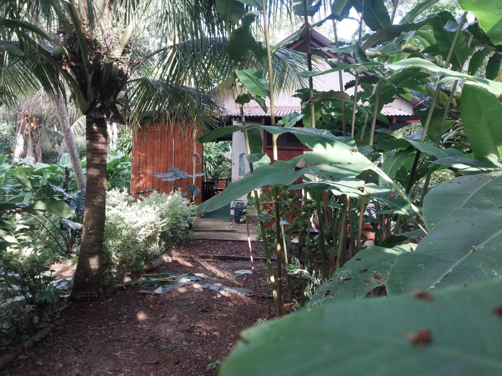 Jardin De Musas Appartement