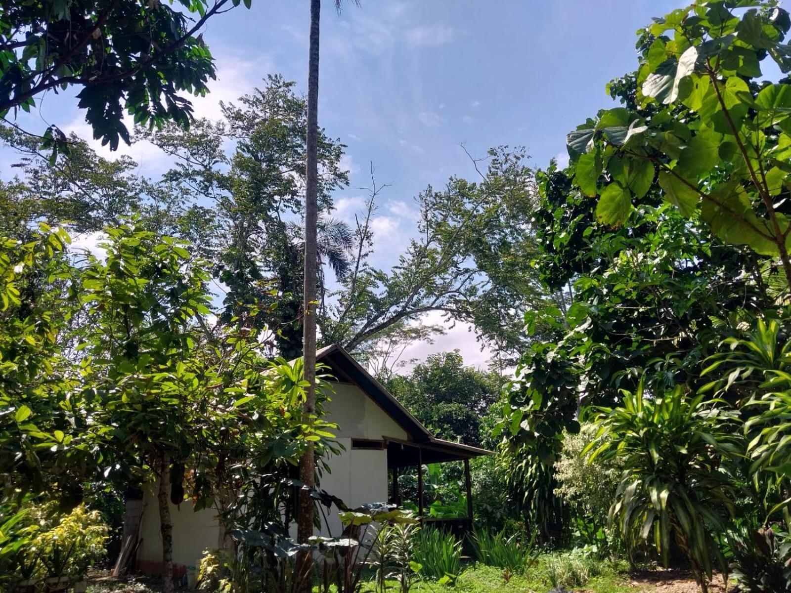 Appartement Jardin De Musas