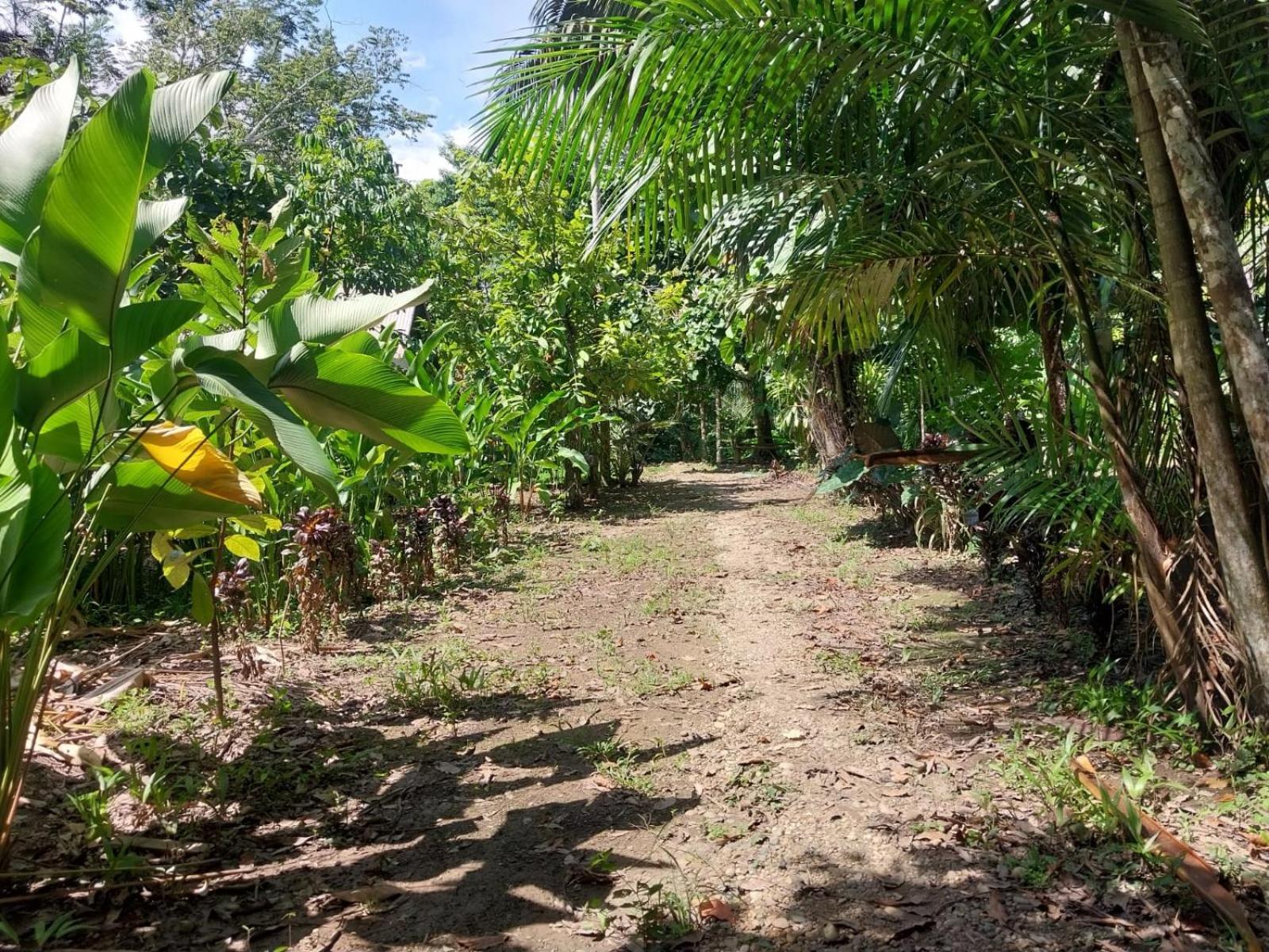 Jardin De Musas Puerto Maldonado