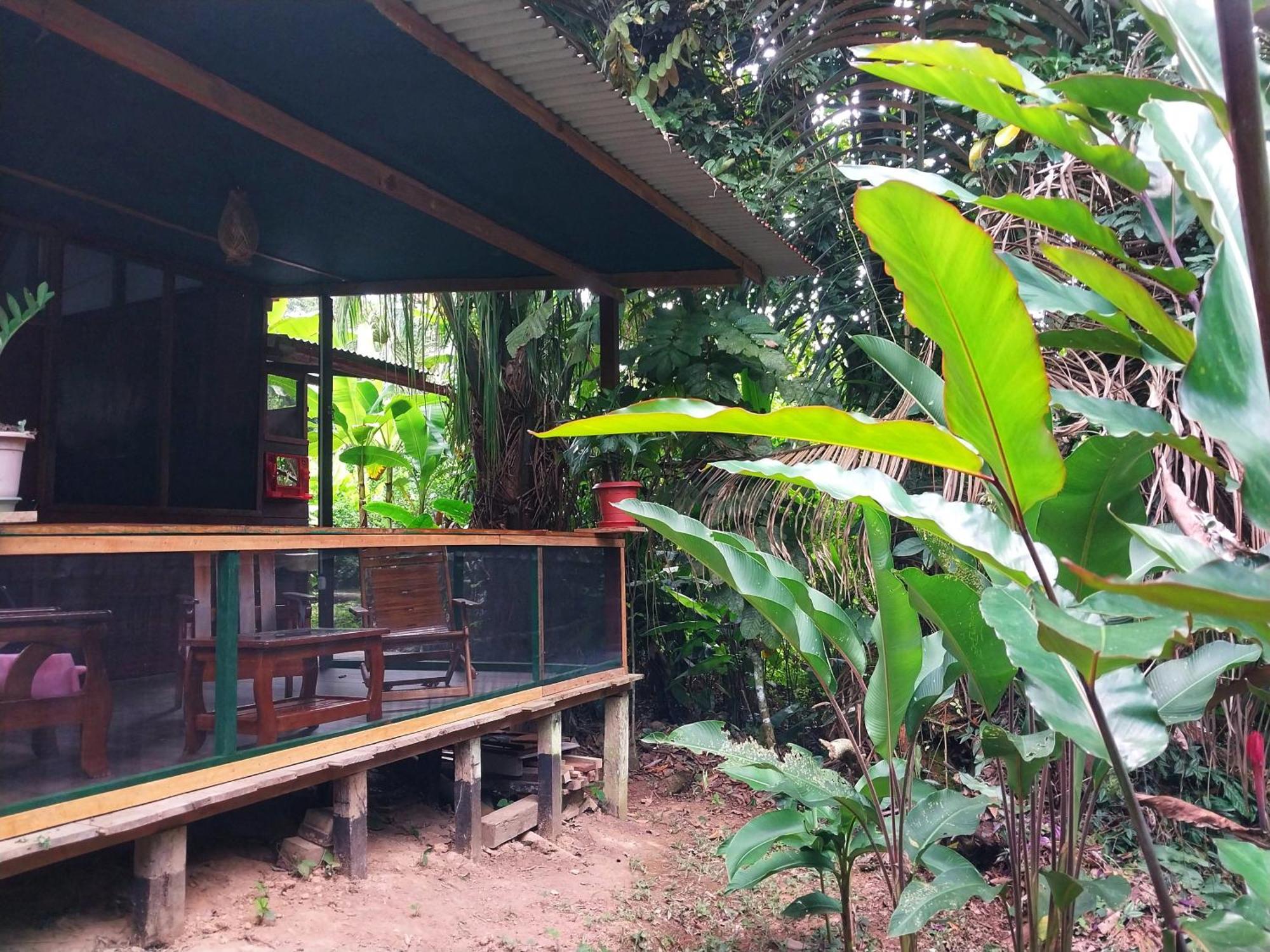 Jardin De Musas Appartement