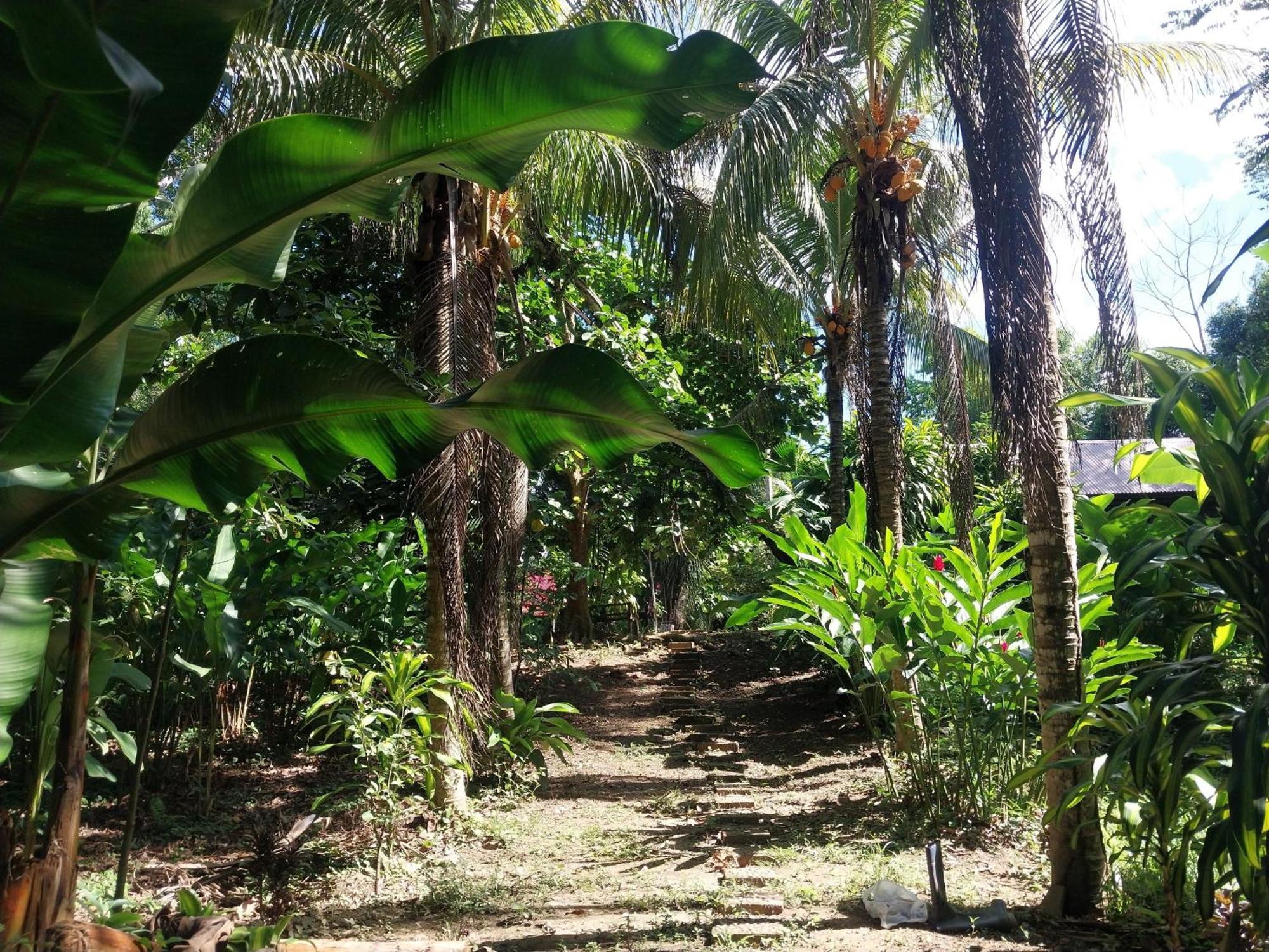 Jardin De Musas Puerto Maldonado