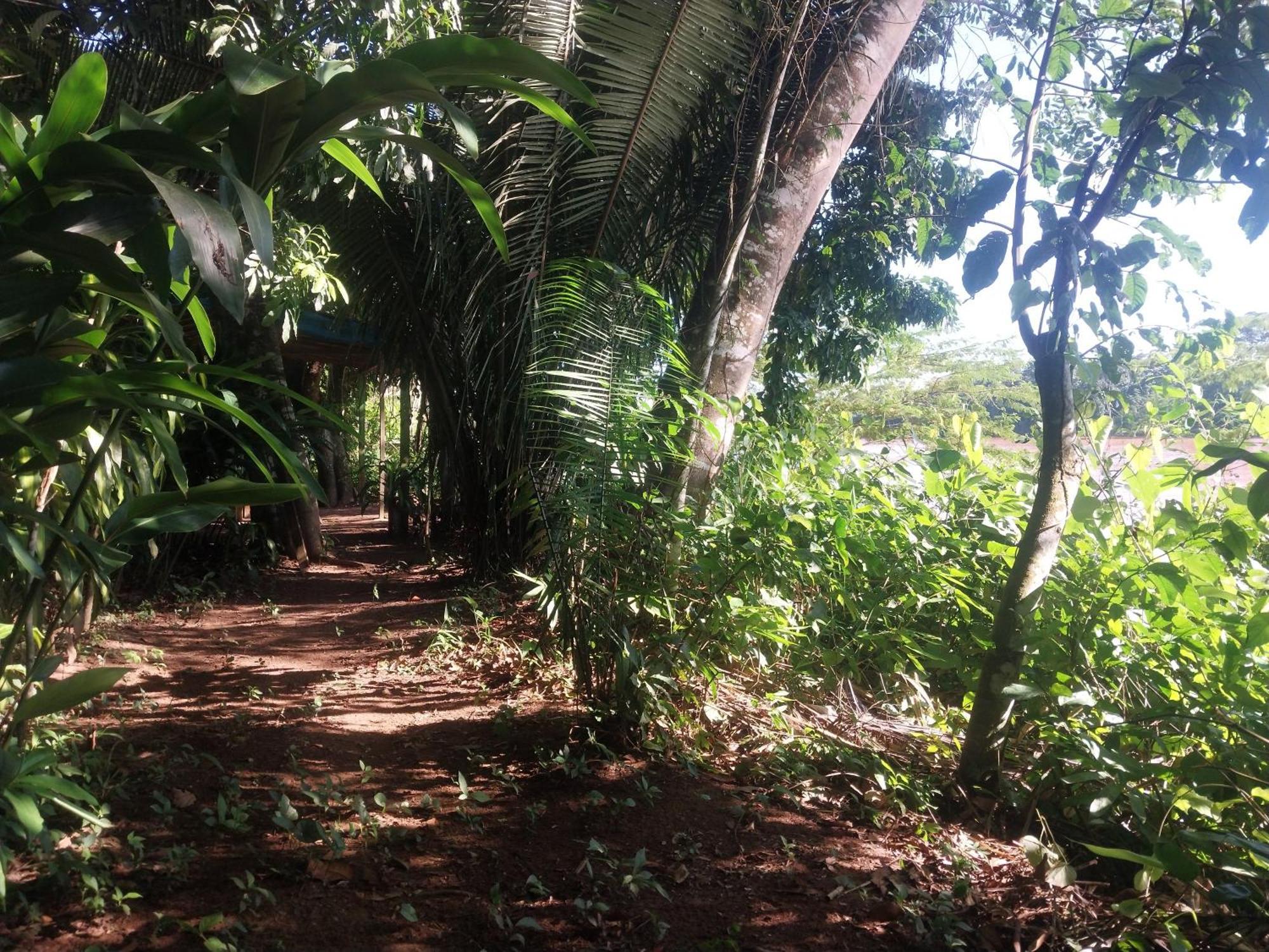 Appartement Jardin De Musas
