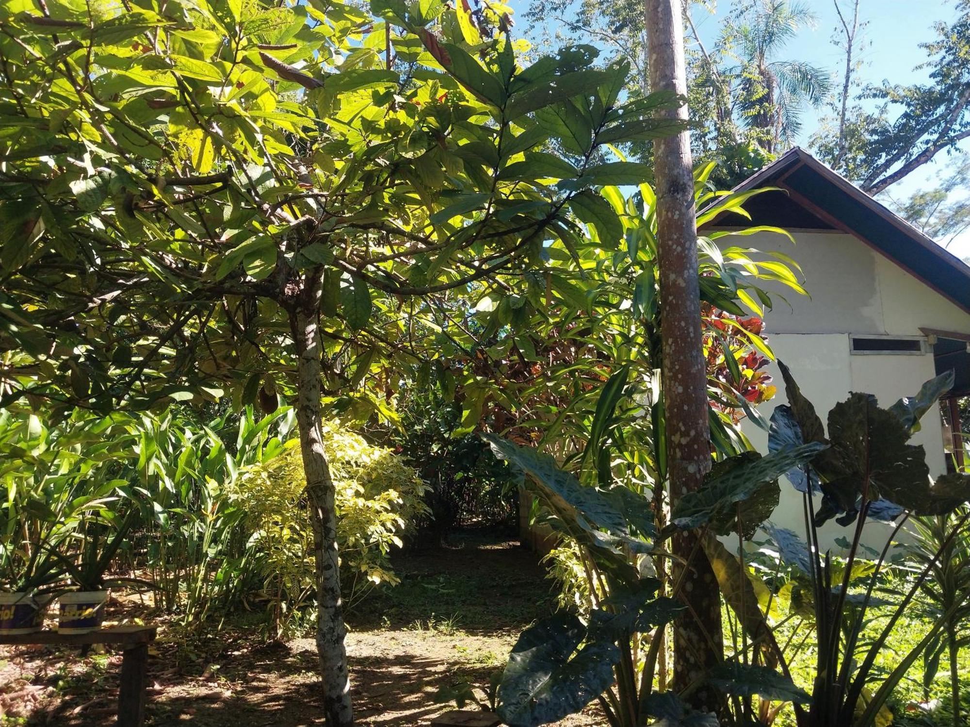Appartement Jardin De Musas